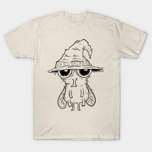 A fly-ing wizard T-Shirt